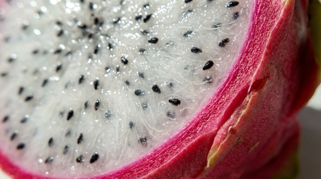 Extreme Micro-Texture & Material Realism